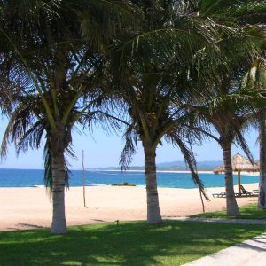Mejores Playas de Puerto Vallarta