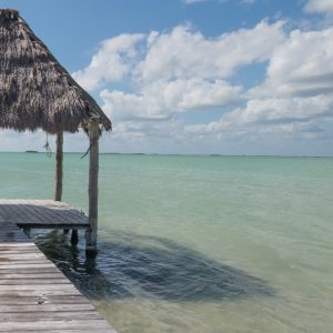 Ecotours en la Riviera Maya