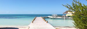 Que ver y hacer en Isla Contoy