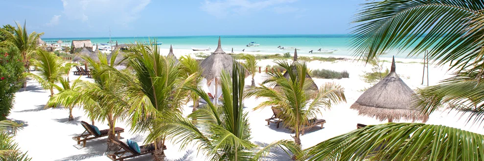 Que ver y hacer en Isla Holbox