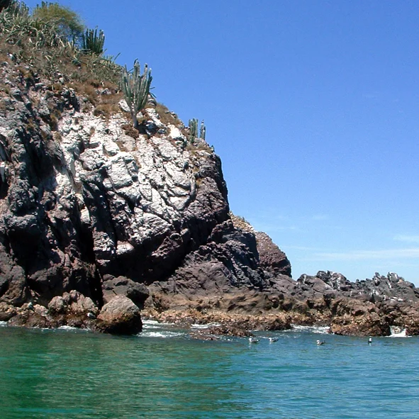 Isla Pajareras