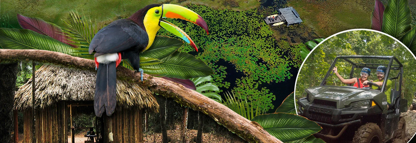 Foto Galería