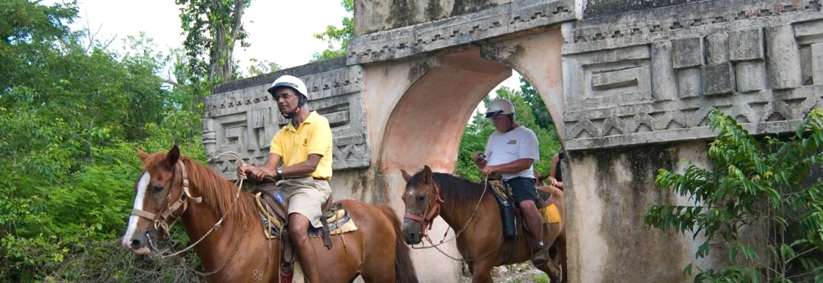Foto Galería