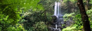 Ruta de la Sierra Mágica en Puebla