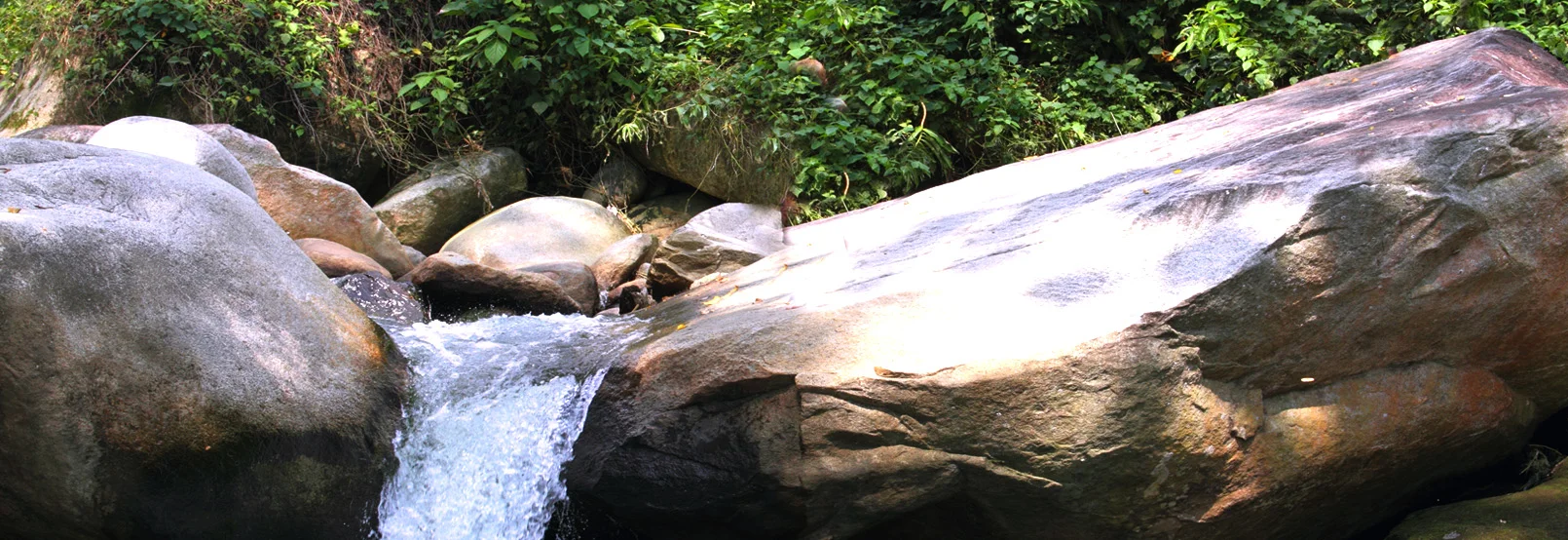 Ruta del Café en Chiapas