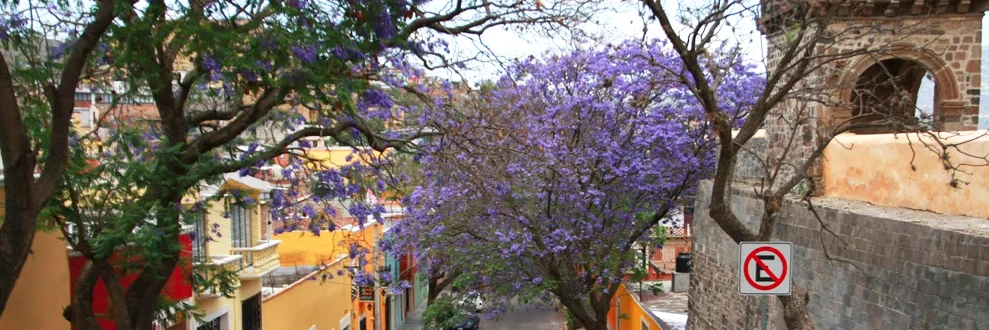 Foto Galería
