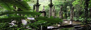 Que ver y hacer en Xilitla