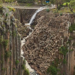 Safaris y Ecotours en México
