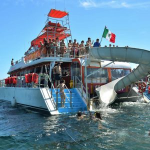 Dancer Cruise