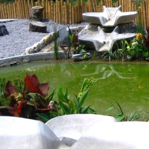 Ecoparque Metropolitano Puebla