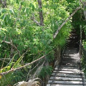 Jardín Botánico Alfredo Barrera Marín