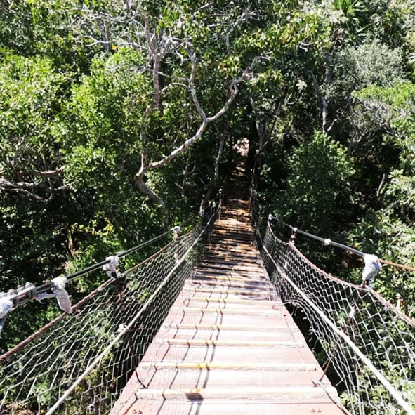 Jungala
