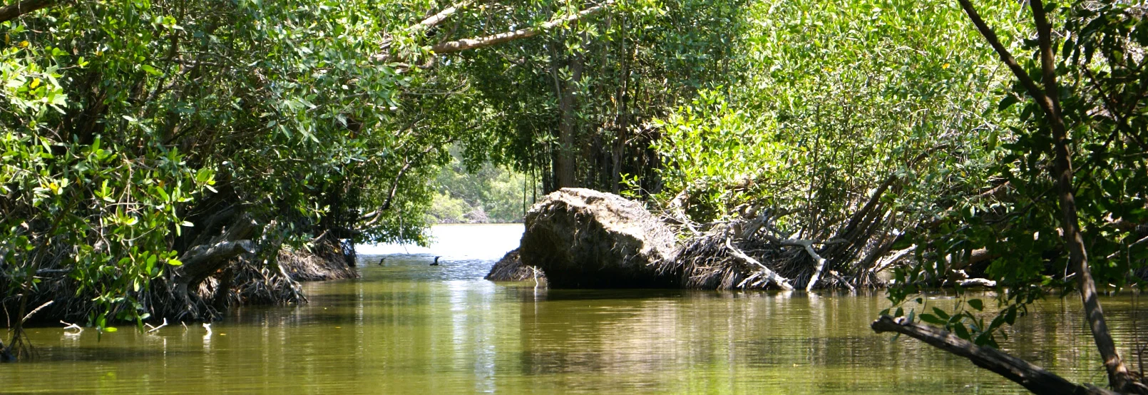 Foto Galería