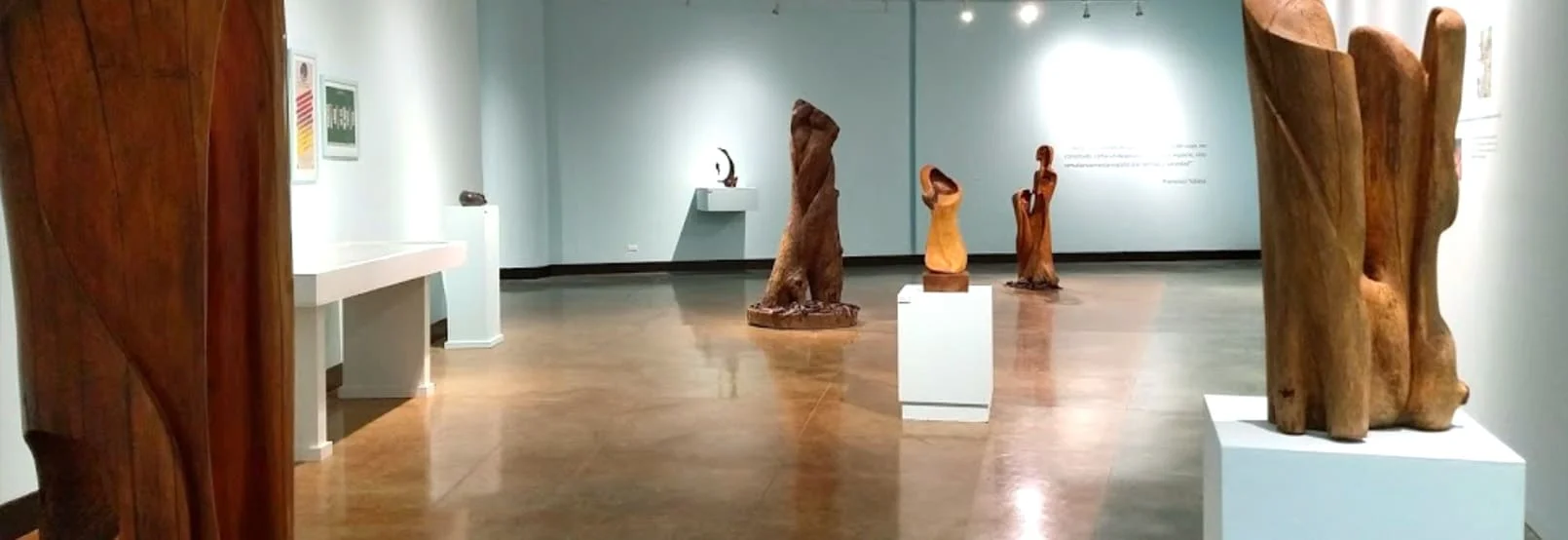 Foto Galería