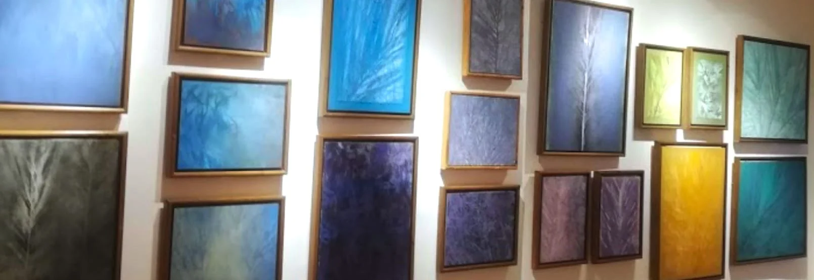 Foto Galería