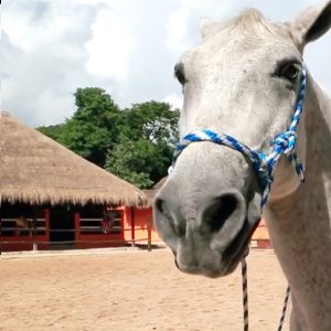 Rancho Ecoturístico Bonanza