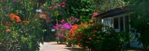 Rancho Spratling