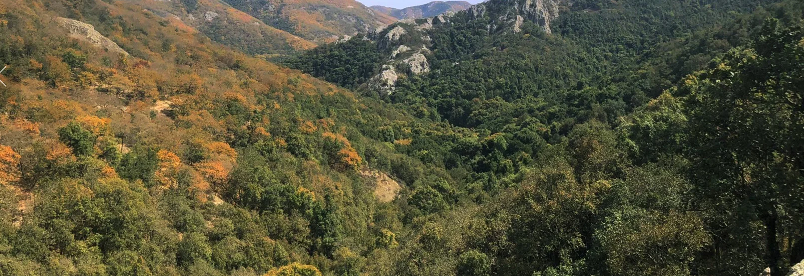 Foto Galería