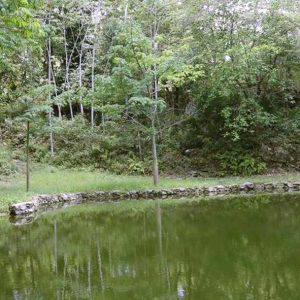 Toh Reserva Biológica
