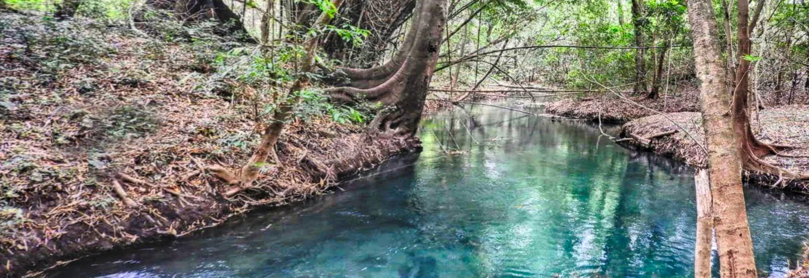 Foto Galería