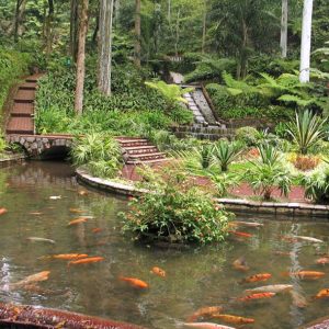Parque Los Tecajetes