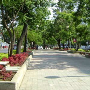 Paseo de Chapultepec Guadalajara
