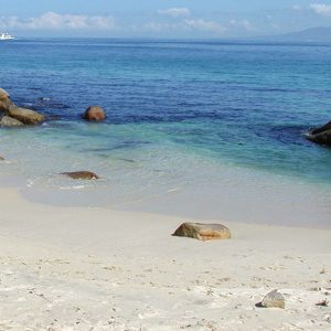 Playa Garza Blanca Puerto Vallarta