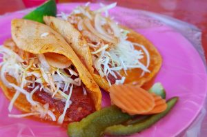 Gastronomía de Amatlán de Cañas