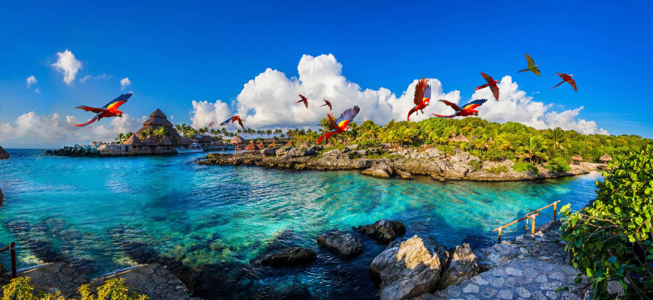 Los 3 mejores parques del Caribe Mexicano
