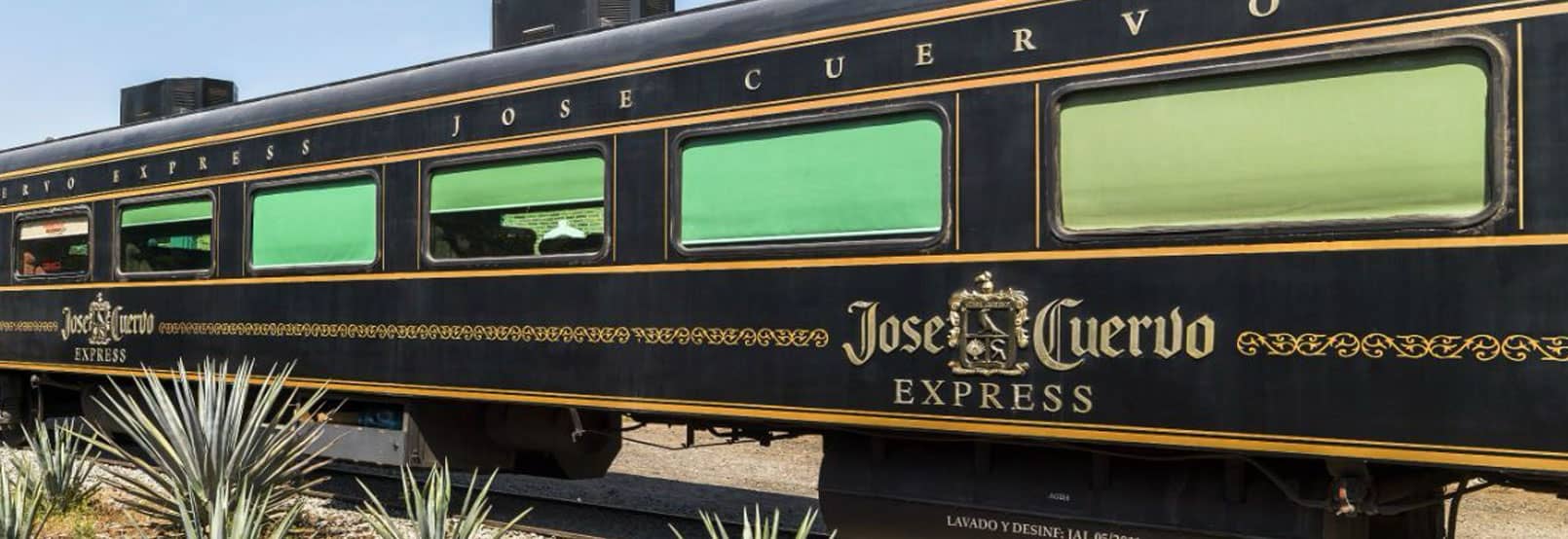 3 experiencias inolvidables en Tequila
