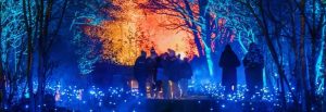 Light Cycles CDMX: La magia nocturna del Bosque de Chapultepec