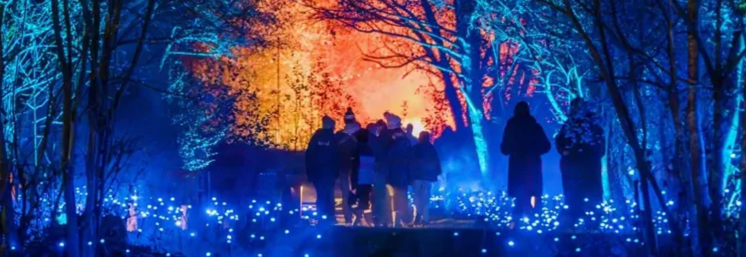 Light Cycles CDMX: La magia nocturna del Bosque de Chapultepec
